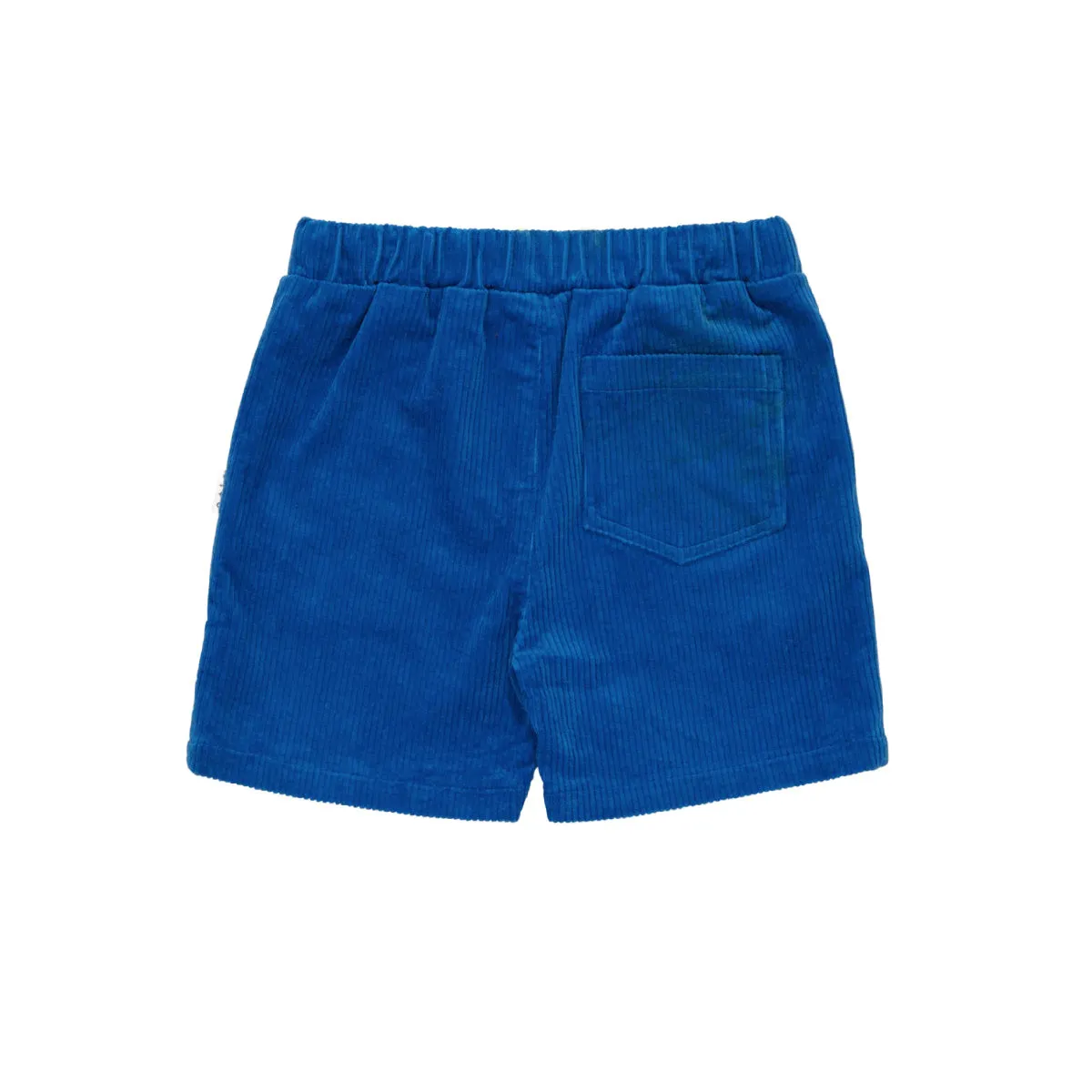 Blue Cord Shorts