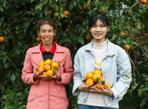 Fruit Trees, Seeds and Tools